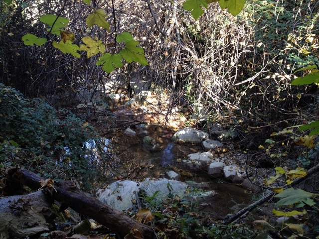 Nacimiento del Rio Cuadros